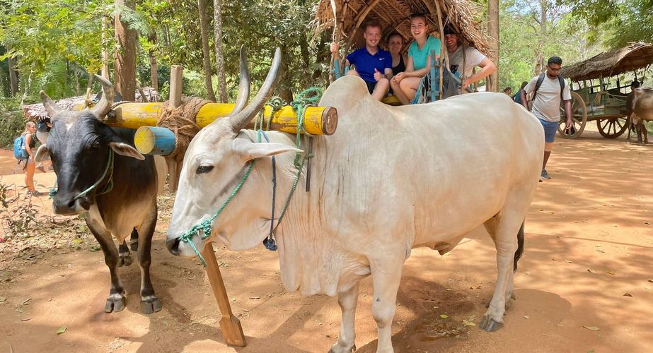 Dorpstour Sigiriya ossenkar Dorpstour Sigiriya ossenkar